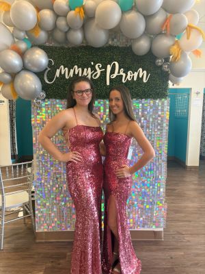 Envy prom by Emmy's sexy silver gray unique bustier bodice sparkly prom dress with fit and flare skirt and train