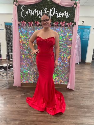 Sexy strapless bustier corsette top fitted skirt homecoming dress jessica angel blue jersey made in USA